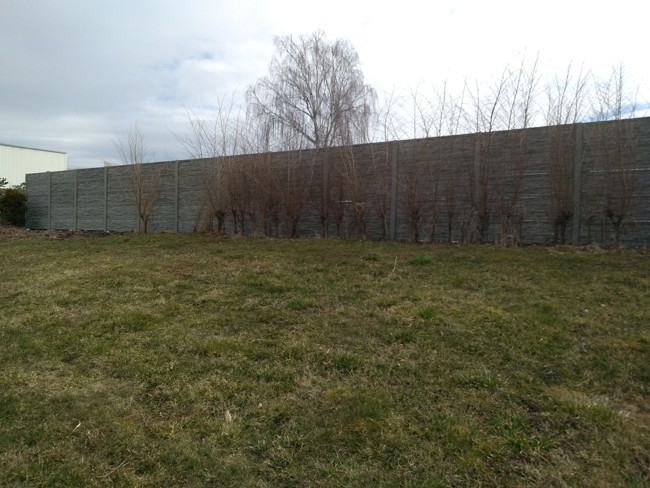 Demolice haly Libáň