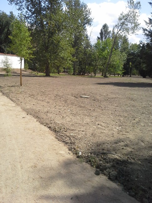 terénní úpravy Trutnov